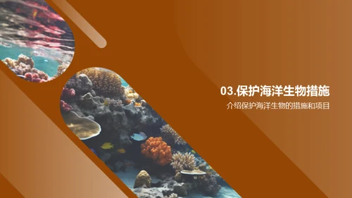 拯救海洋：守护生物多样性