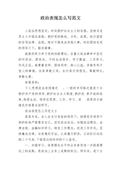 政治表现怎么写范文.docx