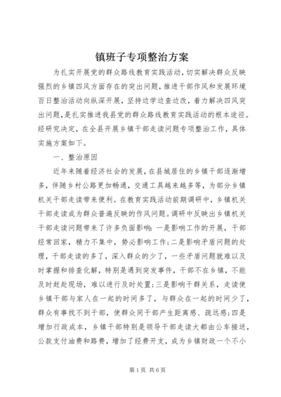 镇班子专项整治方案.docx