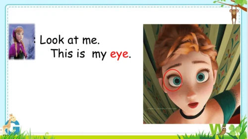Unit3 Look at me Part A Let’s learn  课件(共43张PPT)