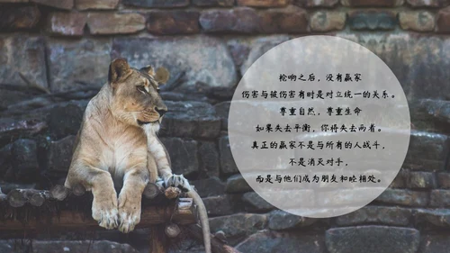 敬畏自然尊重生命保护动物大象通用PPT模板