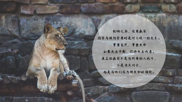 敬畏自然尊重生命保护动物大象通用PPT模板