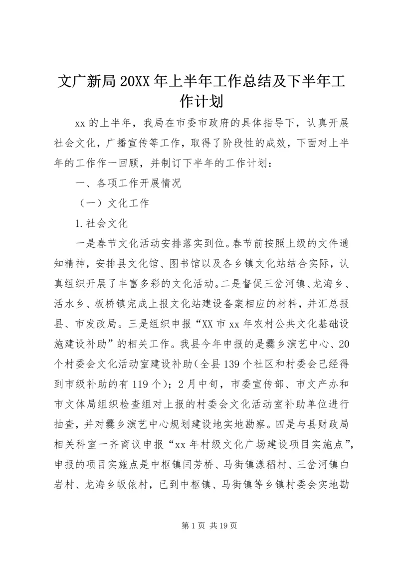 文广新局20XX年上半年工作总结及下半年工作计划.docx