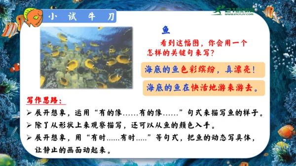 18.富饶的西沙群岛  课件