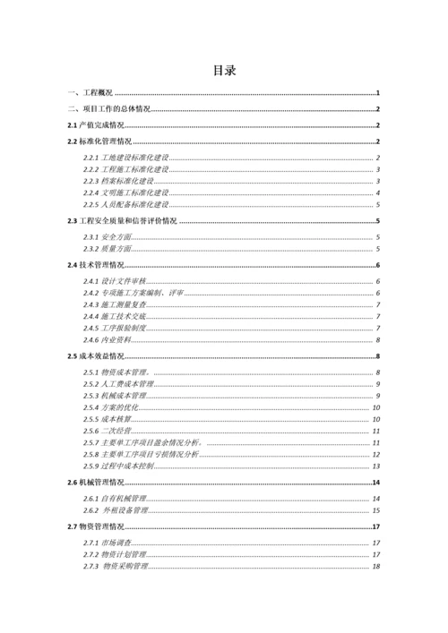 项目收尾阶段施工总结.docx