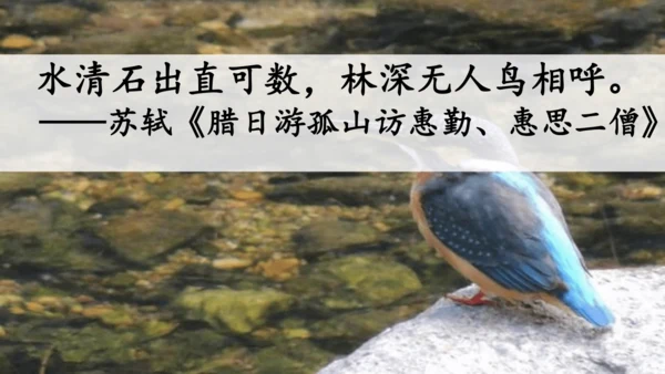 23祖先的摇篮（课件）