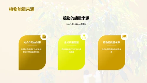 商务风教育培训教学课件PPT模板