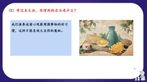 统编版三年级语文下学期期中核心考点集训第四单元（复习课件）
