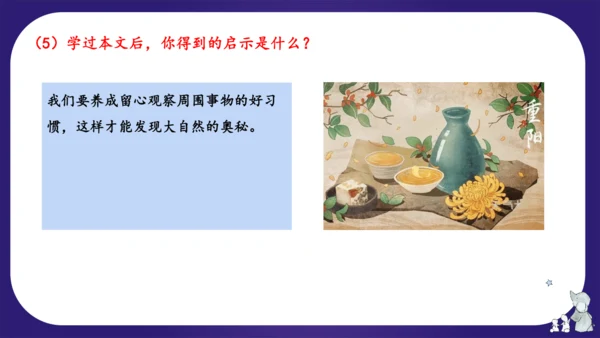 统编版三年级语文下学期期中核心考点集训第四单元（复习课件）