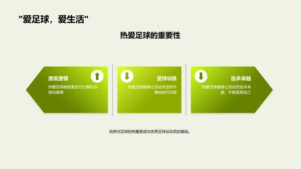 足球运动的魅力