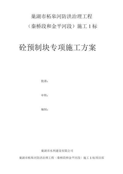 混凝土预制块体专项施工方案.docx