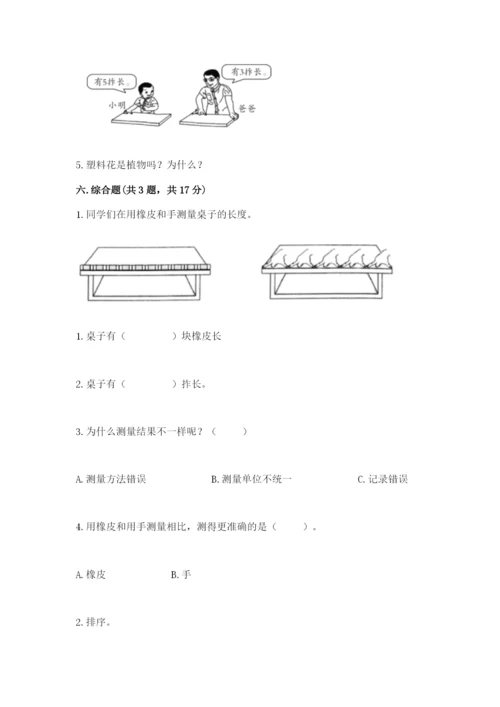 教科版一年级上册科学期末测试卷（考点精练）.docx