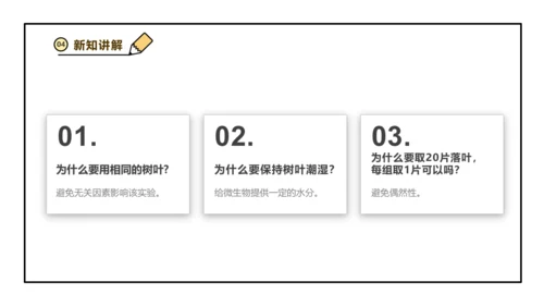 人教版生物八上 5.6 微生物与人类、自然界的关系(共29张PPT)