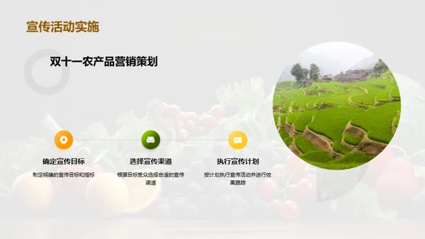 双十一农业营销策略