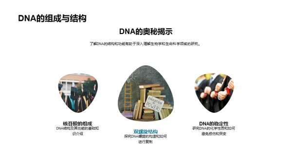 解读DNA：生命密码