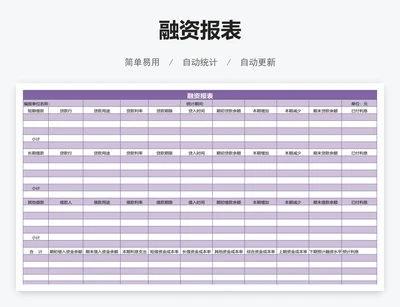 融资报表