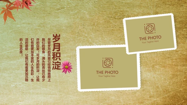 怀旧风格20年同学联谊会PPT模板