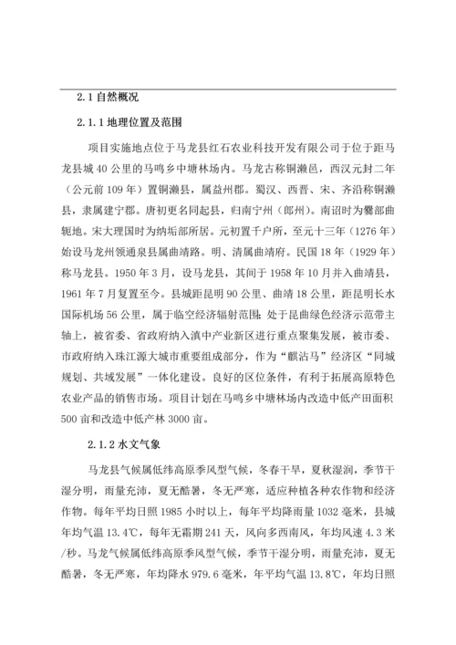 马龙县红石庄园建设项目可研报告.docx