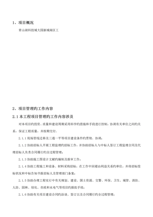 代建关键工程管理专题方案.docx