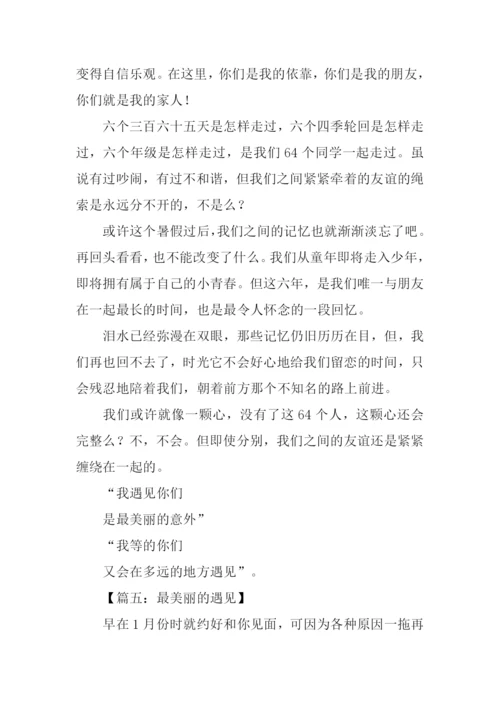 美丽的遇见作文.docx