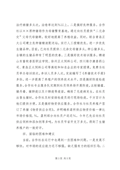 产销合作社工作汇报材料.docx