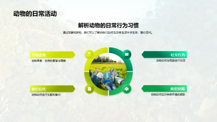 动物世界的奥秘