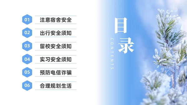 实拍大学生寒假安全教育培训PPT
