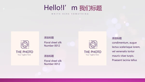 公司产品介绍宣传通用PPT动态模板