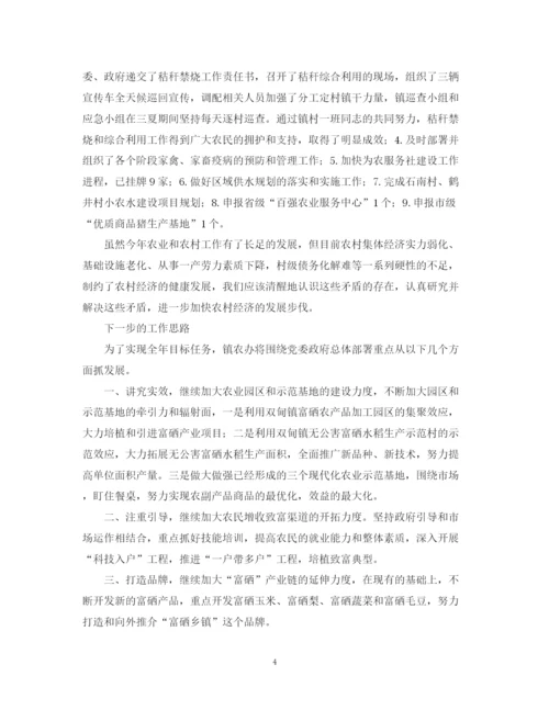 精编之乡镇农业农村工作总结优秀范文.docx