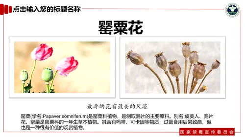 青少年预防不良行为禁毒教育PPT课件