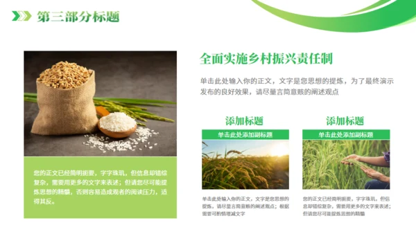 全面推进乡村振兴通用PPT