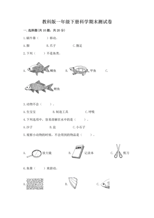 教科版一年级下册科学期末测试卷及答案一套.docx