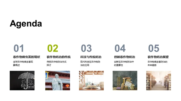 病虫害防治的创新策略