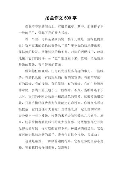 吊兰作文500字-20.docx