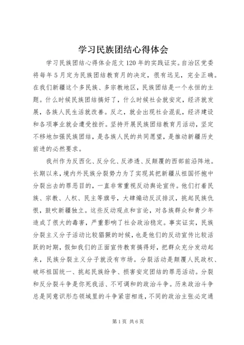 学习民族团结心得体会.docx