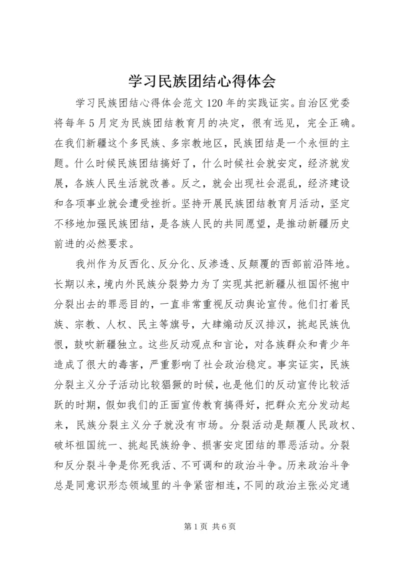 学习民族团结心得体会.docx