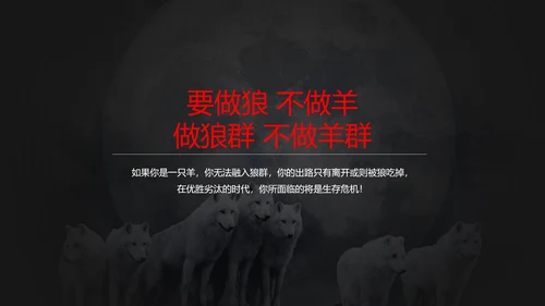 狼性文化教学企业团队培训PPT课件