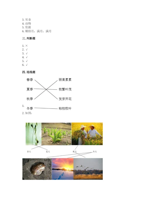 教科版二年级上册科学期末测试卷含答案（实用）.docx