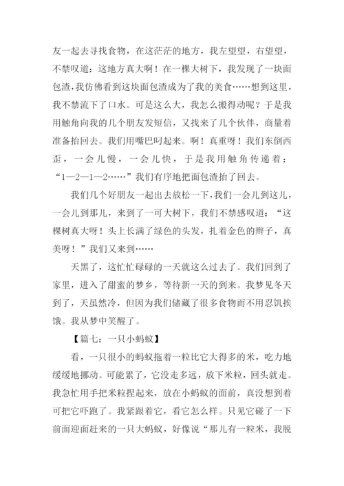 一只小蚂蚁作文.docx