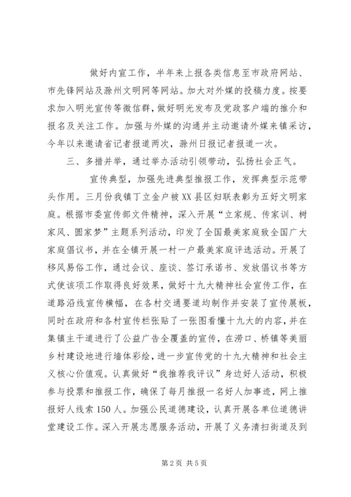 乡镇某年上半年度宣传思想文化工作落实总结及某年下半年工作计划.docx