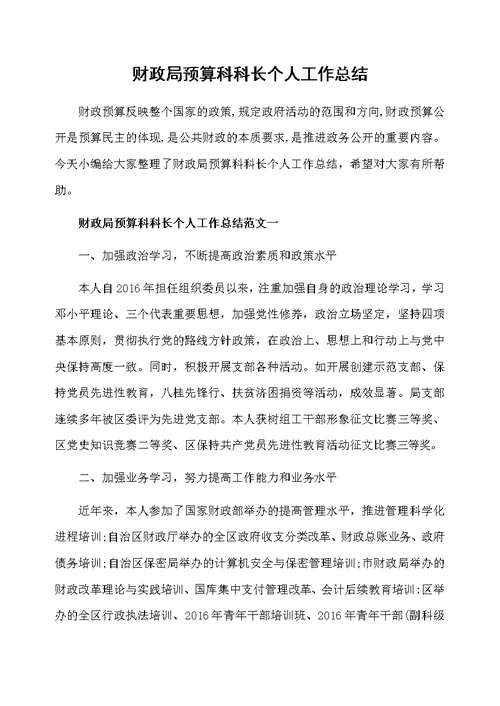 财政局预算科科长个人工作总结