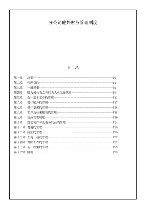 分公司财务管理新版制度.docx