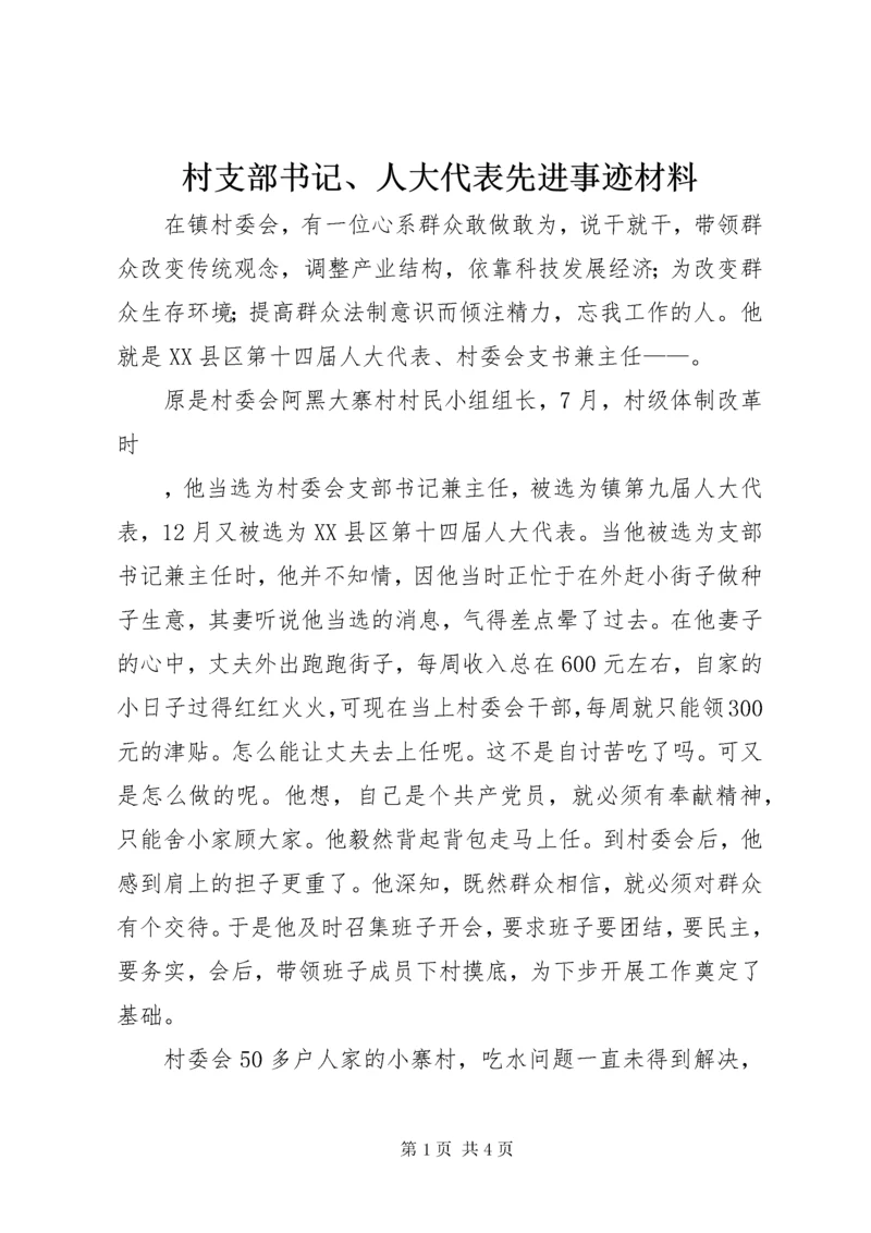 村支部书记、人大代表先进事迹材料.docx