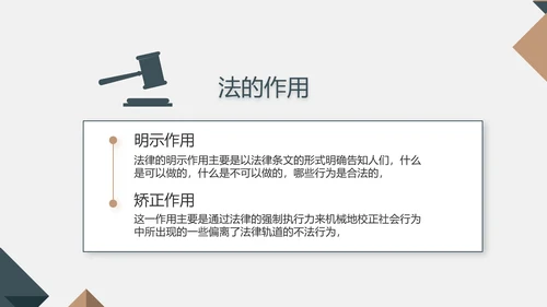 严谨大气法律法学律师工作汇报动态PPT模板