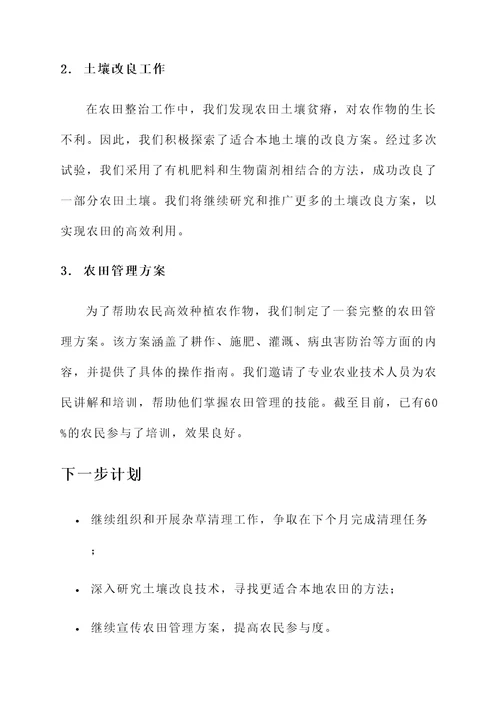 安沙镇农田整治工作汇报