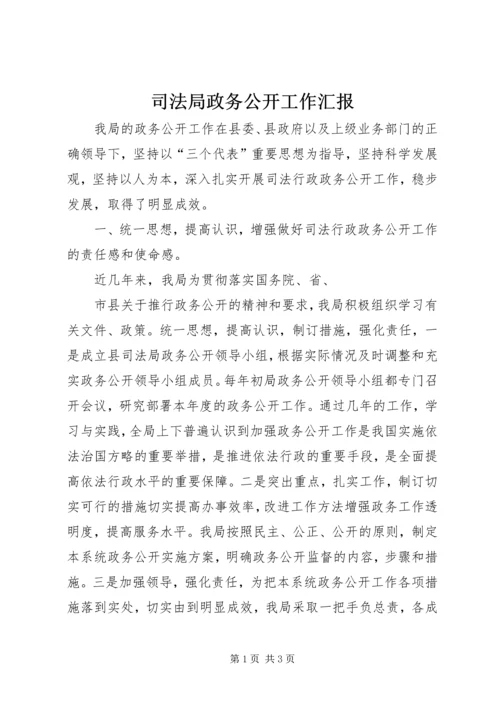 司法局政务公开工作汇报 (4).docx