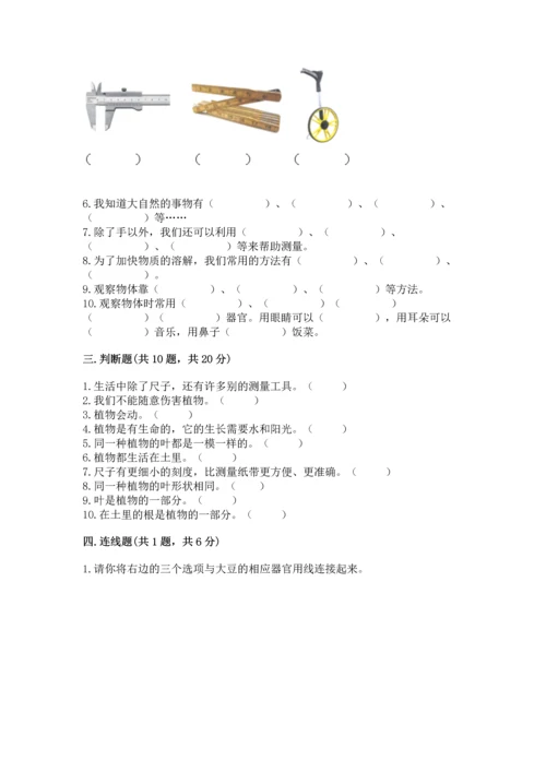 教科版科学一年级上册期末测试卷a4版打印.docx