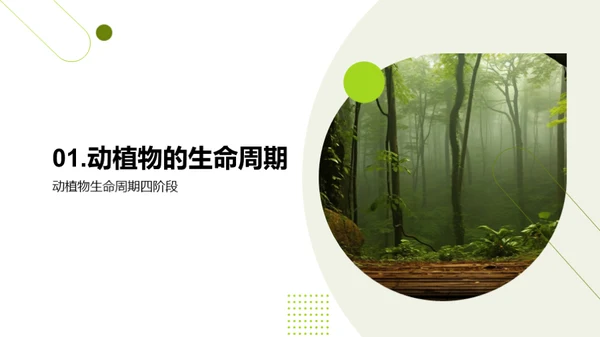 生态守护之旅