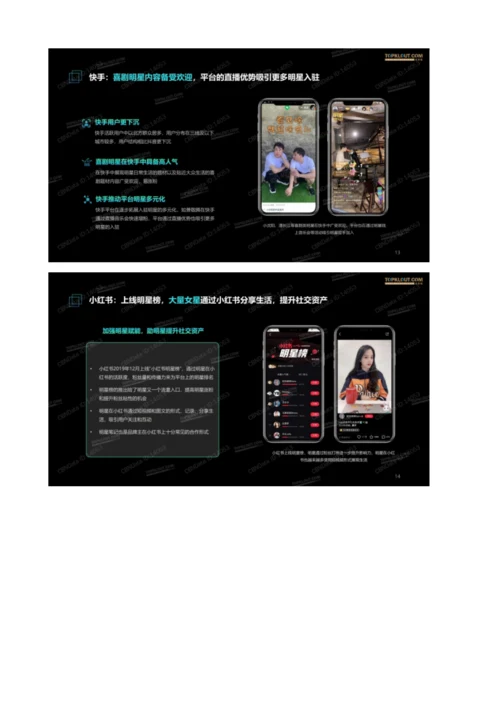 短视频风口下一明星社交资产分析报告.docx