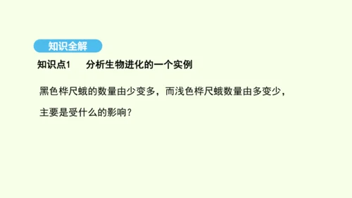 7.3.3生物进化的原因课件-人教版生物八年级下册(共37张PPT)